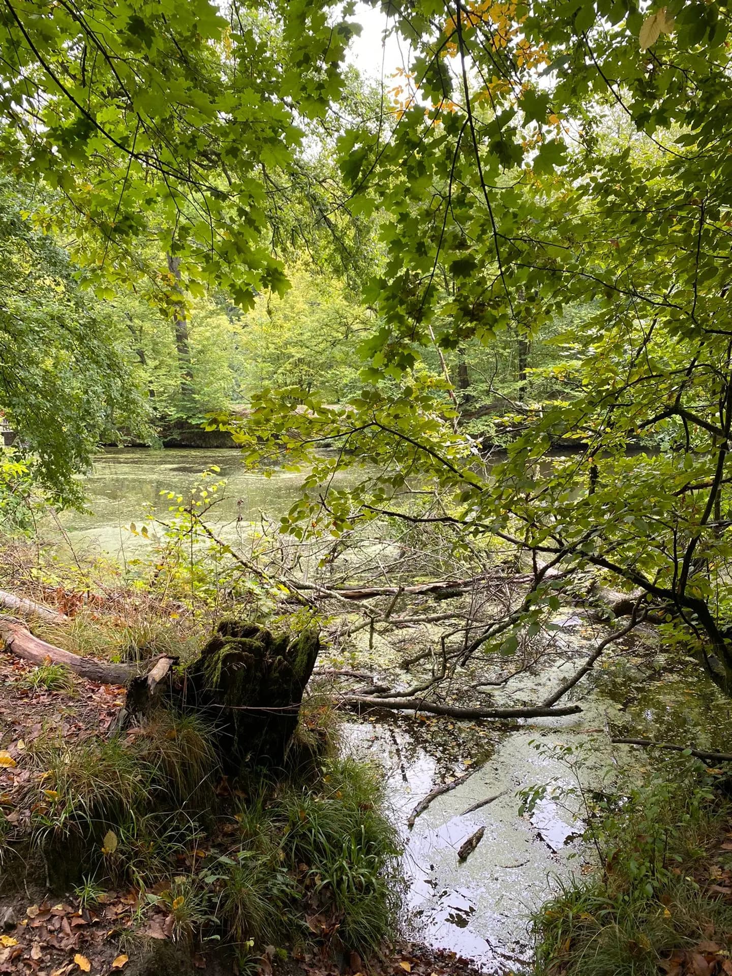 news-fedactio-stapt-mee-in-de-refugee-walk-10