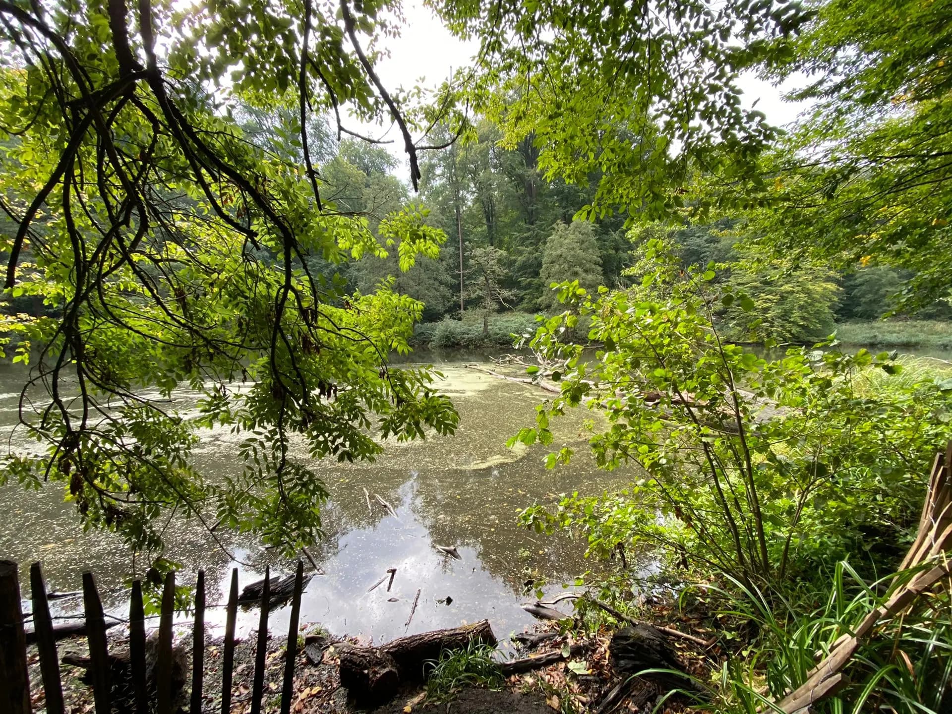 news-fedactio-stapt-mee-in-de-refugee-walk-15