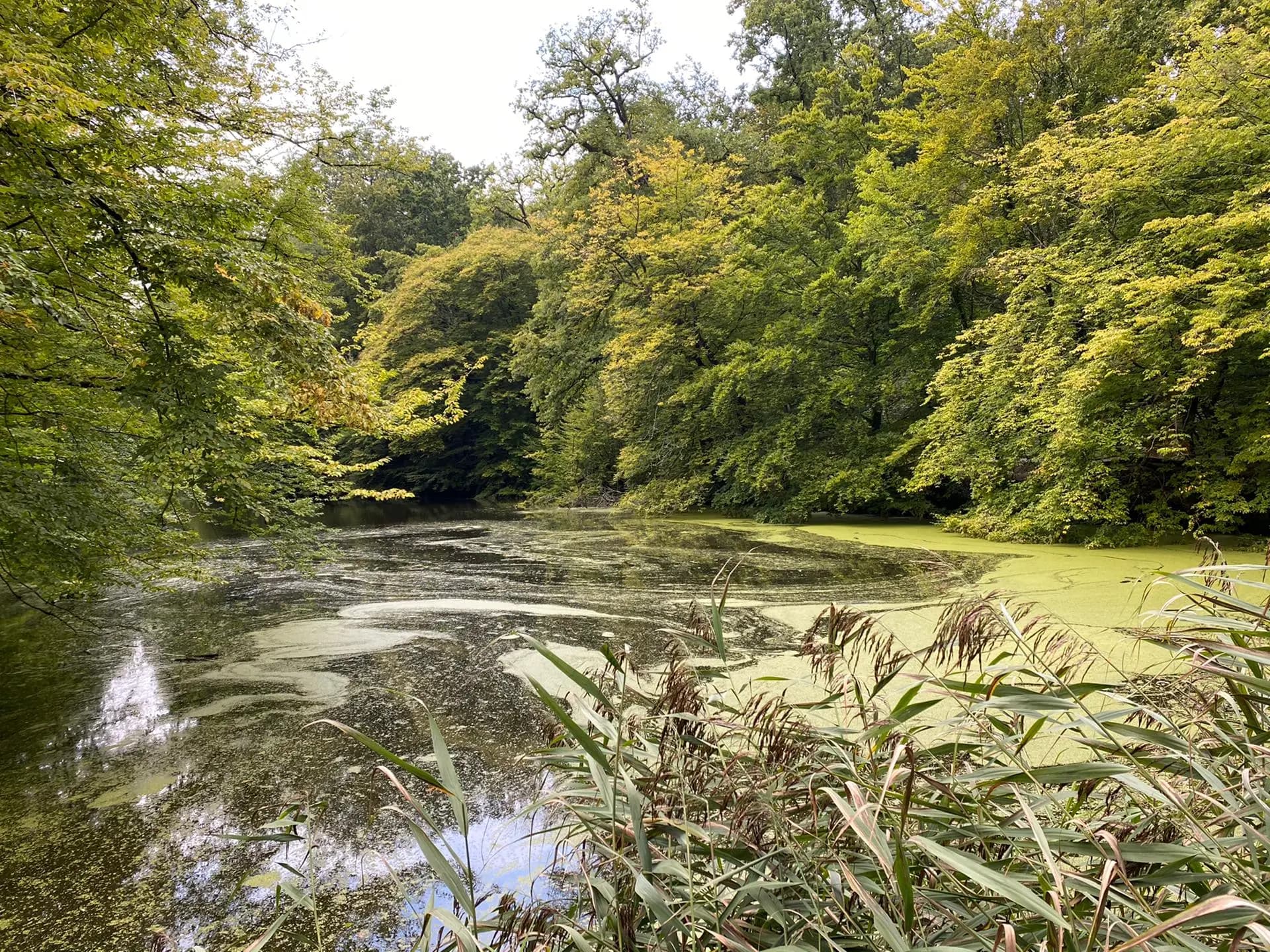 news-fedactio-stapt-mee-in-de-refugee-walk-21