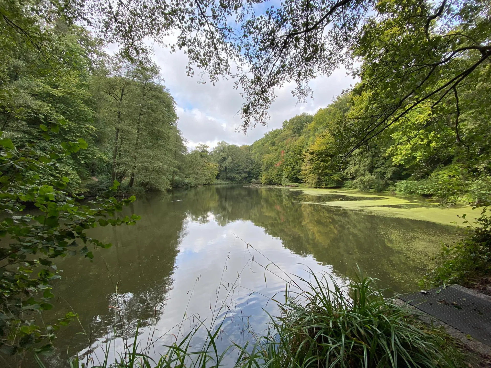 news-fedactio-stapt-mee-in-de-refugee-walk-22