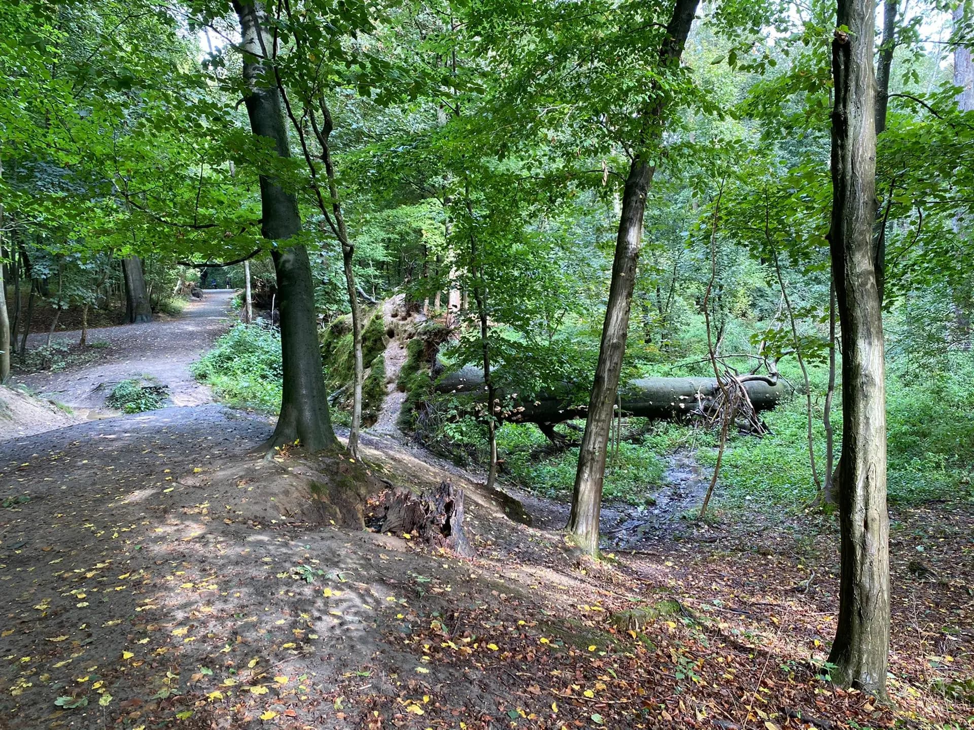 news-fedactio-stapt-mee-in-de-refugee-walk-7