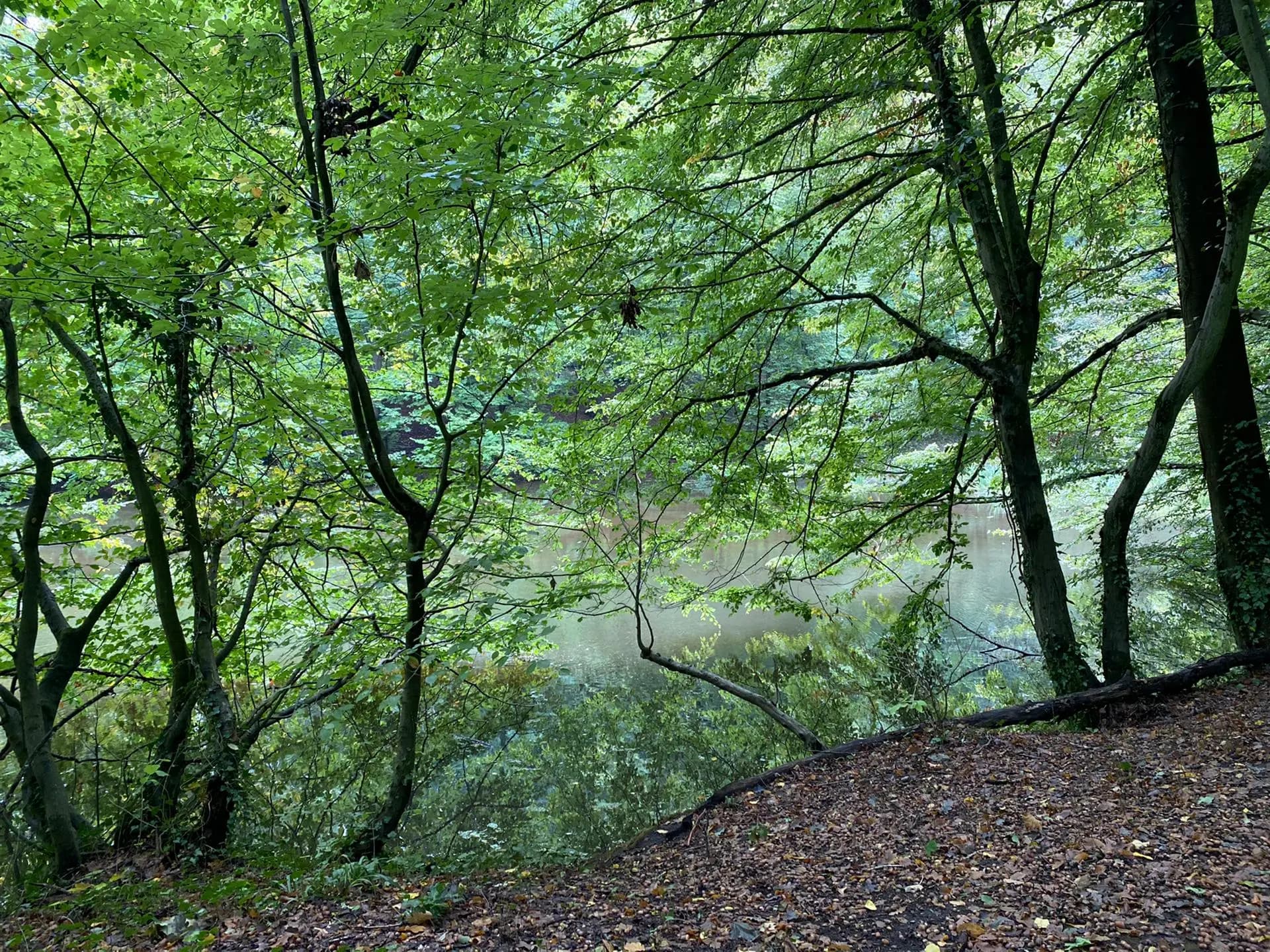 news-fedactio-stapt-mee-in-de-refugee-walk-9